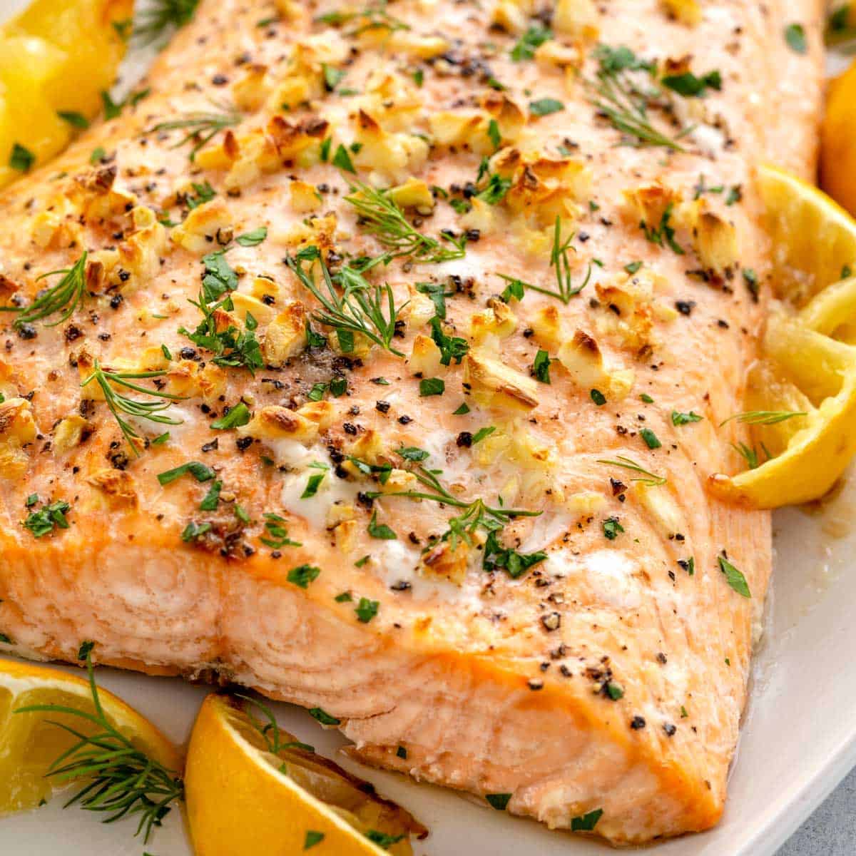 salmon