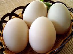 fresh eggs 2